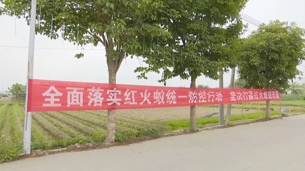 1639641968734949.jpg 945239dc60f6ed88a8970b9e97dff45e.jpg